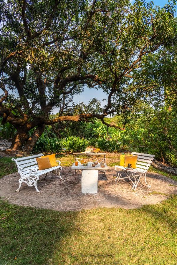 Saffronstays Chikoo Wadi- 3Bdr Pet-Friendly Villa With Pool In Boisar Buitenkant foto