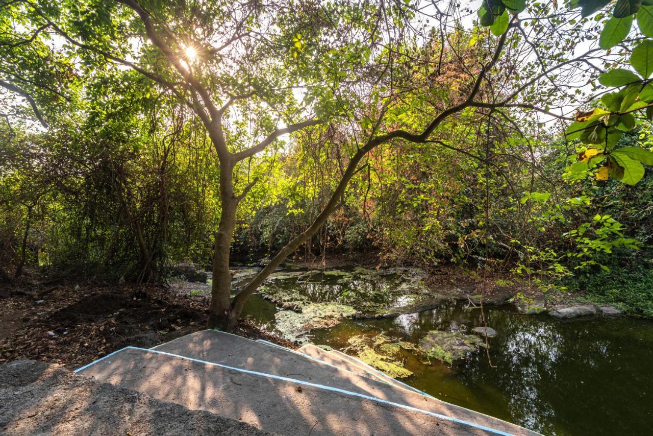 Saffronstays Chikoo Wadi- 3Bdr Pet-Friendly Villa With Pool In Boisar Buitenkant foto